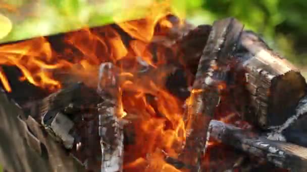 熱い炭火が燃えている 木材のスモールダン化と炎のログ 屋外のバーベキューに燃える木製のログ — ストック動画