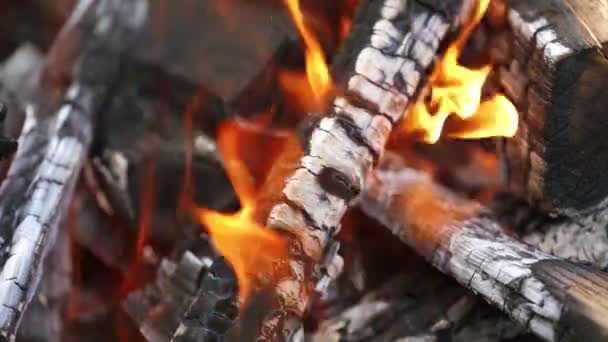 Doutnající Polena Plamenech Spalování Dřeva Jako Abstraktní Pozadí Horké Uhlíky — Stock video