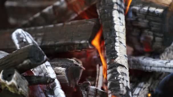 Drewniane Żary Płomieniach Wypalone Czarne Kłody Płonące Ogniu Tło Węglanów — Wideo stockowe