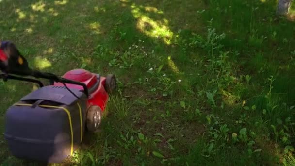 Frauen Arbeiten Mit Dem Rasenmäher Trimmer Maschine Mäht Grünes Gras — Stockvideo