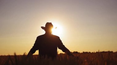 Gün batımında tarlada bir adamın silueti. Batan güneşin altında tarlada yürüyen şapkalı bir çiftçinin arka görüntüsü. Tarım kavramı.