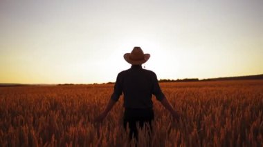 Erkek çiftçi gün batımında tarlada. Şapkalı bir adamın, batan güneşe karşı olgun sivri uçlu tarlalarda yürüdüğünü gördüm..