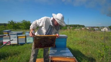 Yazın Apiculture. Arı yetiştiricisi arılara göz kulak olur. Kırsal bölgedeki yeşil çimlerde çerçeveli arı kovanları. Arıcılık süreci.