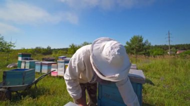 Koruyucu şapkalı arı yetiştiricisi. Apiarist çerçeveyi arılarla inceliyor ve çalışmaları hakkında konuşuyor. Kırsal kesimde kanama var. Apiculture kavramı.