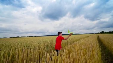 Çocuk sahaya oyuncak uçak fırlatıyor. Genç, mavi gökyüzünün altındaki sarı alanda uçakla koşuyor. Mutlu çocuk yaz doğasında oynuyor..
