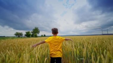 Sarı çayırdaki küçük çocuk. Sarı tişörtlü çocuk yaz günü buğday tarlasında koşuyor ve eğleniyor. Çocuk dışarıda oynuyor..