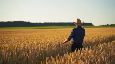 Tarım alanında yaşlı bir çiftçi. Şapkalı bir çiftçi buğday tarlasında duruyor ve mısır gevreğinin olgunluğuna bakıyor. Tarım sektörü.