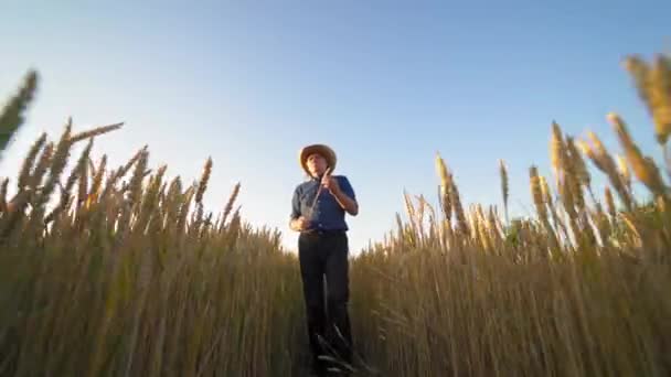 Portret Farmera Szpikulcem Zewnątrz Człowiek Koszuli Spodniach Spacerujący Polu Dojrzałej — Wideo stockowe