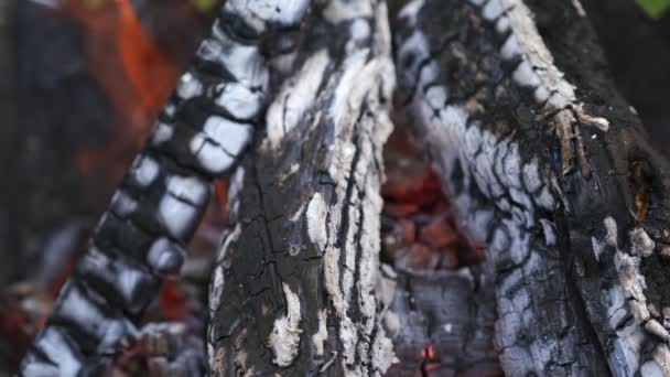 柴火熊熊燃烧白色和黑色燃烧的原木背景 木头在火中变成灰烬 后续行动 — 图库视频影像