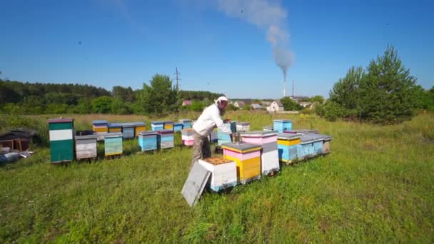关于工厂背景的4月 夏天的晴天 戴防护帽的养蜂人在蚜虫上工作 乡村的蜂房 — 图库视频影像