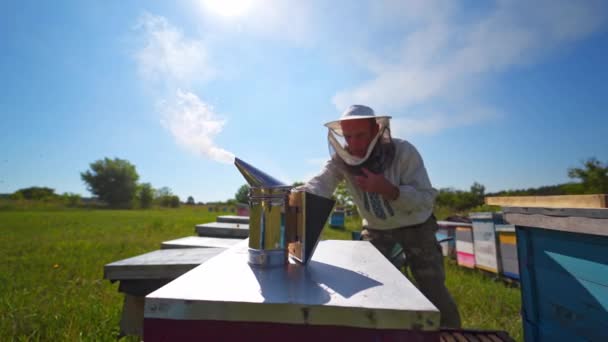 Kémény Méhészeti Háttérrel Méhész Méhkaptárral Dolgozik Egy Napsütéses Napon Méhészeti — Stock videók