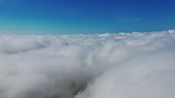 ソフトクラウドの背景 鮮やかな青空の下に白い雲が広がっています 雲の景色を旅する 空中を見る — ストック動画