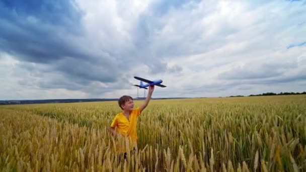 Мальчик Игрушечным Самолетом Улице Счастливый Ребенок Гуляющий Среди Растущих Сельскохозяйственных — стоковое видео
