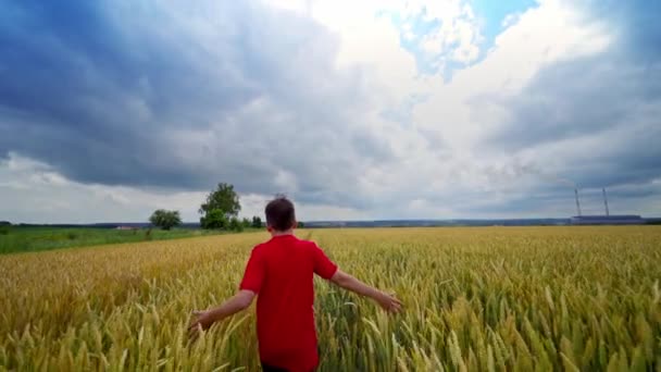 Boldog Fiú Mezőgazdaságban Vörös Pólós Tinédzser Vidáman Fut Búzamezőn Felhős — Stock videók