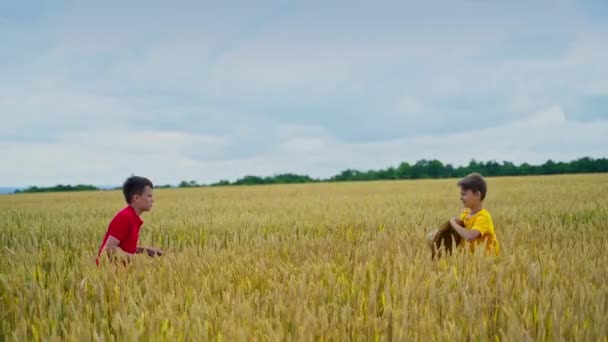 Muntre Børn Hvedemark Glædelige Brødre Leger Med Stråhat Den Gyldne – Stock-video