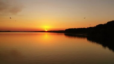 Nehir batan güneşte. Akşam nehrinin üzerinde güzel turuncu gün batımı. Kuşlar suyun üzerinde uçuyor. Kamera geri gidiyor. Hava görünümü.