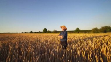 Agronomist altın tarlanın ortasında. Hasır şapkalı ve mavi gömlekli çiftçi Olgun buğday başaklarının arasında duruyor Parlak yaz gününde.
