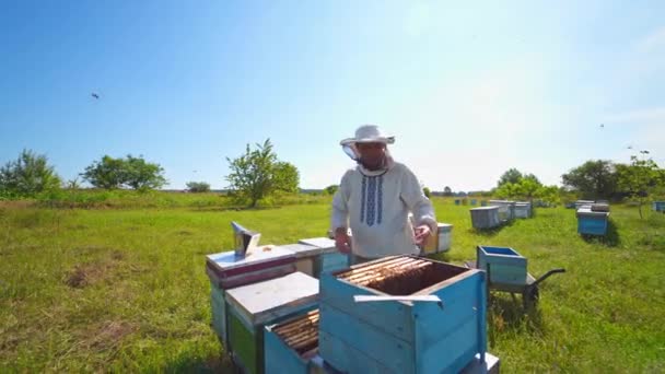 屋外での養蜂プロセス 明るい夏の日に蜂蜜で庭で働いている男性のアペルシスト 蜂を検査する養蜂家 — ストック動画