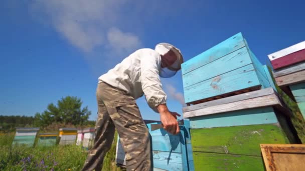 Imker Werkt Met Bijenkorven Apiarist Zet Houten Kisten Tegen Blauwe — Stockvideo