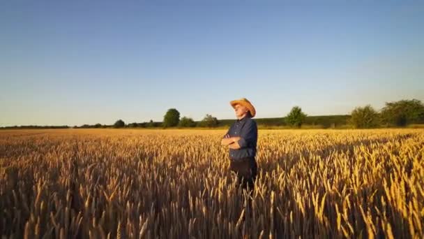 Agronomen Mitt Det Gyllene Fältet Jordbrukare Halmhatt Och Blå Skjorta — Stockvideo