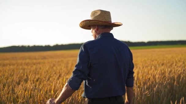 Agricoltore Anziano Con Cappello Paglia All Aperto Agronomo Maschio Trova — Video Stock