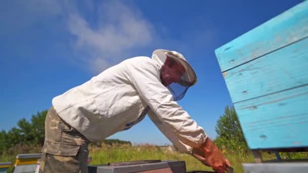 Apiculteur Contre Ciel Bleu Apiculteur Chapeau Protecteur Examinant Les Abeilles — Video