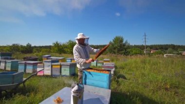 Apiarist doğadaki arıları inceliyor. Kırsal kesimdeki endüstriyel fabrika arka planında arıcılık işlemi.