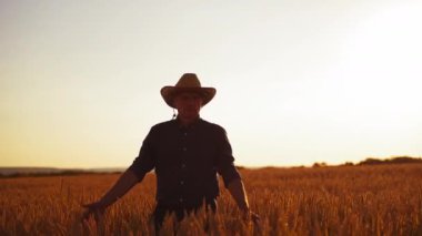 Şapkalı çiftçi mahsulü inceliyor. Gün batımında turuncu buğday tarlasında yürüyen bir tarım uzmanı. Adam buğday dikenlerine elleriyle dokunuyor. Ön görünüm.