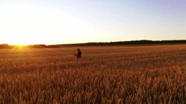 Agronomist tarladaki hasadı kontrol ediyor. Turuncu gün batımına karşı olgun dikenlerin arasında yürüyen şapkalı bir çiftçi..