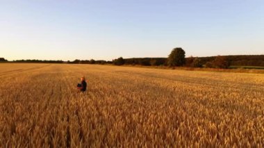 Altın bir alanın panoramik manzarası. Büyük buğday tarlasında çiftçi. Hasır şapkalı adam gün batımında tarımsal bitkileri inceliyor..