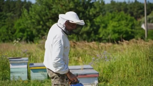 Работа Пчеловода Летом Профессиональный Пасечник Работающий Трубой Пасеке Среди Природы — стоковое видео