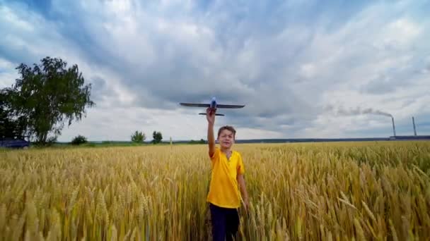 黄田上的小男孩夏天快乐的孩子在户外玩耍 小孩拿着一架玩具飞机 在草地上模仿飞行 — 图库视频影像