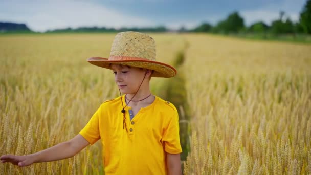 穿着黄色T恤的男孩在战场上与刺 一个戴着帽子的小农场主在农村农业中的画像 — 图库视频影像