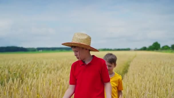 Хлопці Ходять Пшеничному Полі Брати Говорять Про Сільськогосподарські Рослини Проходячи — стокове відео