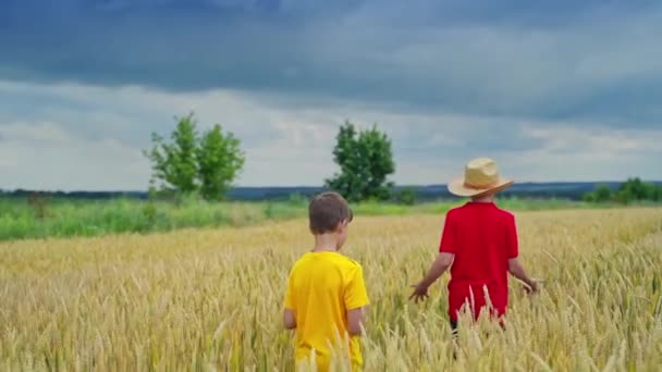 Μικροί Αγρότες Κίτρινο Χωράφι Μεγαλύτερος Αδελφός Ψάθινο Καπέλο Περπατούσε Στο — Αρχείο Βίντεο