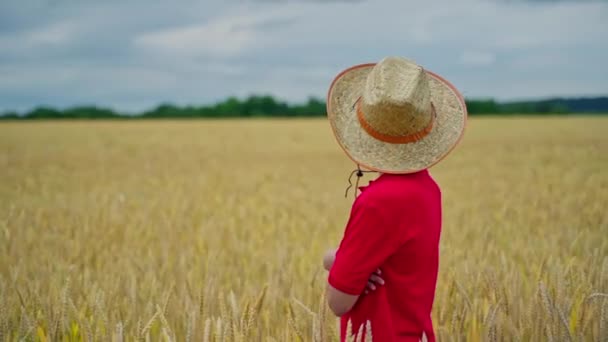フィールド上の小さな農夫の肖像画 夏の黄金のフィールドに立っているわら帽子の真剣な少年 農業と夏休みについて — ストック動画