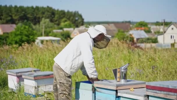 在农村的4月 夏季在木制蜂箱附近工作的养蜂人保护帽专家 养蜂过程 — 图库视频影像