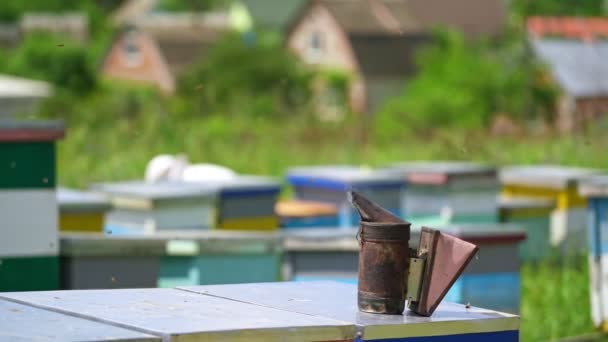 Füstölő Eszköz Méhkaptáron Áll Méhészeti Kémény Vidéki Méhészet Homályos Hátterében — Stock videók