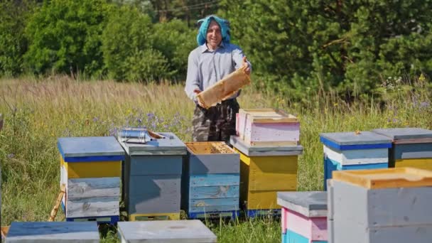 Веселый Пчеловод Пасеке Фермер Летом Осматривает Рамы Пчелами Пчелиных Домиках — стоковое видео