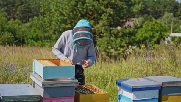 雄养蜂人在木蜂箱里检查蜜蜂 在农村 戴着防护帽的农场主与木制蜂箱一起干活 — 图库视频影像