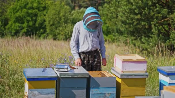 Imker Inmitten Der Natur Imker Holt Rahmen Mit Honig Aus — Stockvideo