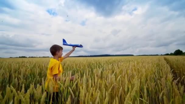 Doğanın Içinde Küçük Bir Çocuk Sarı Tişörtlü Mutlu Çocuk Tarla — Stok video