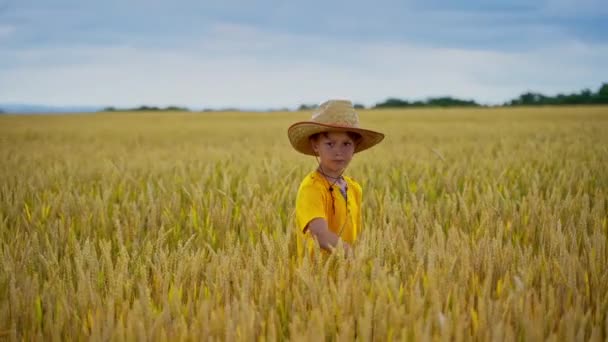 Kind Loopt Het Veld Kleine Boerenjongen Met Strohoed Raakt Zomer — Stockvideo