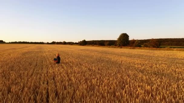 金色田野的全景 农场主在小麦大种植园里 日落时分头戴草帽的男人检查农作物 — 图库视频影像