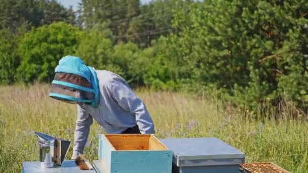 蜜蜂大师在Apiary 戴防护帽的人在蜂箱里和烟囱一起工作 养蜂人在一个有绿色背景的养蜂场上检查蜜蜂 — 图库视频影像