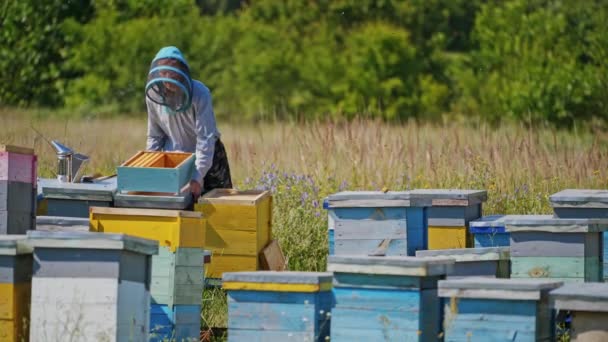 Dřevěné Včelí Domy Zahradě Profesionální Včelař Ochranném Klobouku Zaneprázdněn Včelínem — Stock video