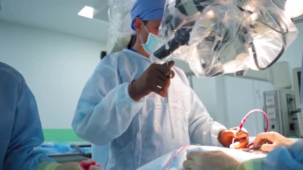 手术期间外科医生的协同工作 男性专科医生在使用医疗仪器进行外科手术时透过显微镜观察 — 图库视频影像