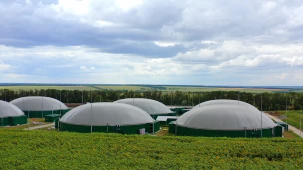 Produkcja Biogazu Ogromne Zbiorniki Biomasę Zielonym Polu Nowoczesna Biogazownia Pod — Wideo stockowe