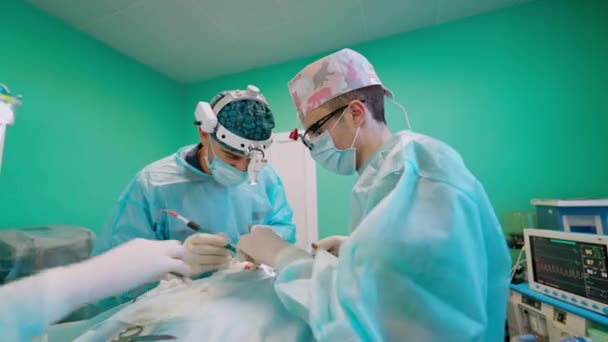 医療機器の背景に関する手術 頭部の外科的懐中電灯を有する専門医は 患者の手術を行います クリニックでの演劇 — ストック動画