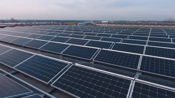 Ряды Солнечных Батарей Солнечном Свете Фотоэлектрические Солнечные Батареи Современной Электростанции — стоковое видео